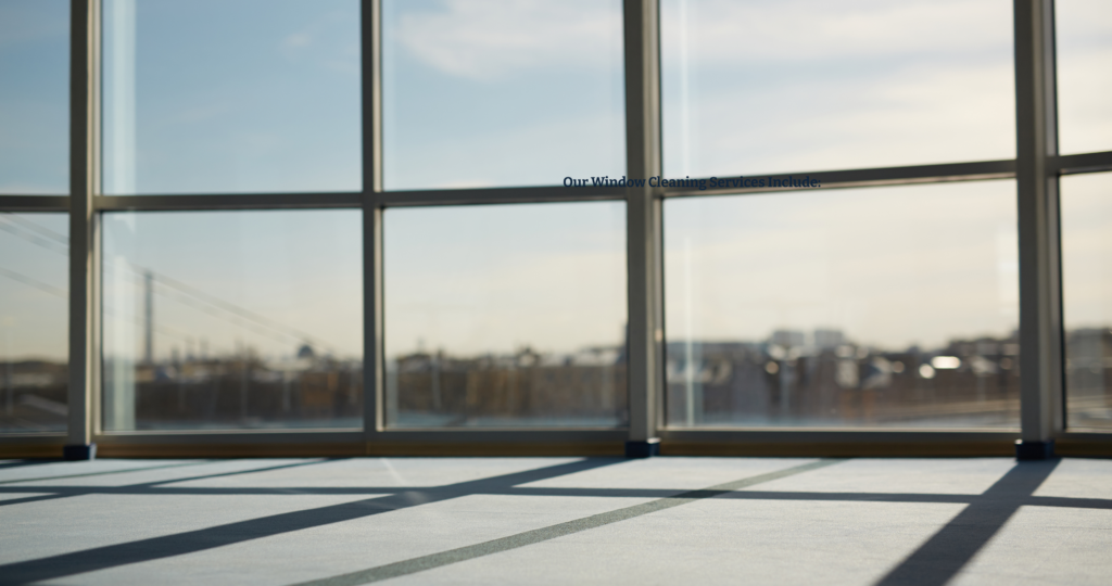 professional cleaning service